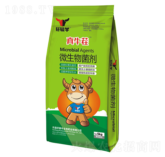 ΢�������-��ţ��-܎�@ţ