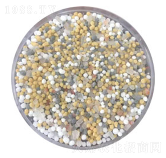 ���w⛓����-ͬ�w����