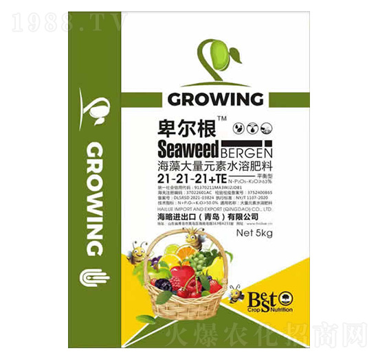 �������Ԫ��ˮ�ܷ���21-21-21+TE-������-����