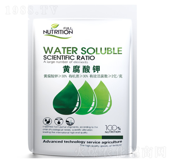 �S�����-�߿���