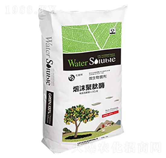 ���i����ø-�߿���