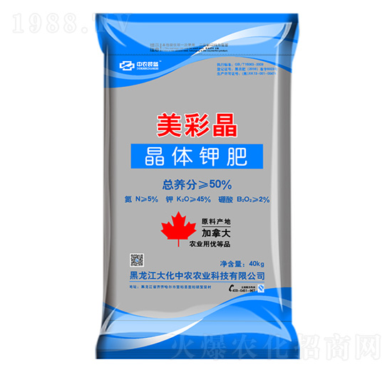 ���w⛷�-���ʾ�-�����r