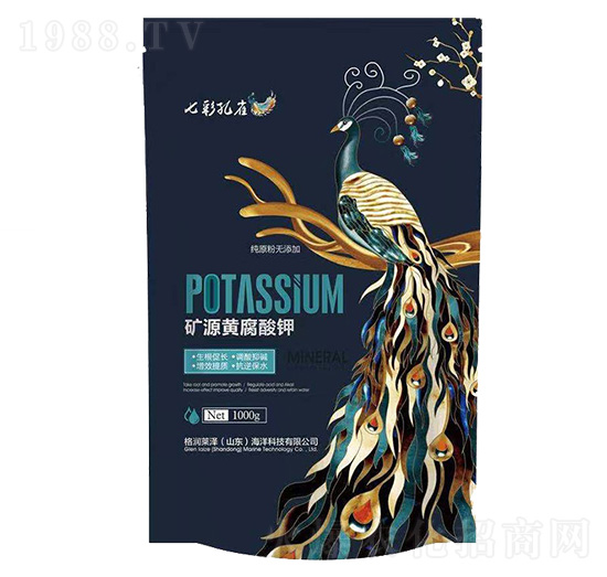 �VԴ�S�����-�߲ʿ�ȸ-��(r��n)�R��