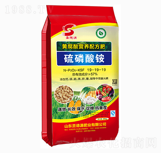 �S����I(y��ng)�B(y��ng)�䷽��19-19-19-�������@-ʥ��Դ