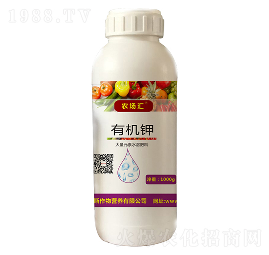 �ЙC�-�r���R-������˹