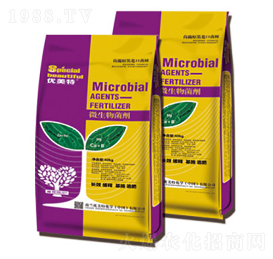 ΢�������-��(y��u)����-����r�I(y��)