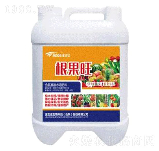 ������-���_