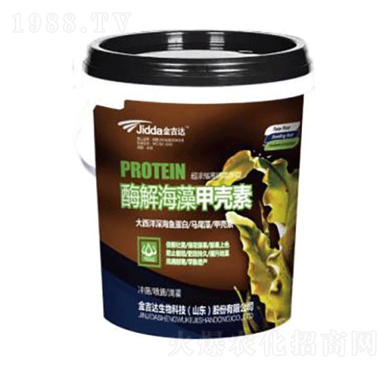 ø�⺣��ך���-���_(d��)