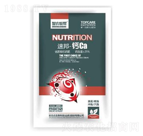 �ٰ�-�}Ca-���_