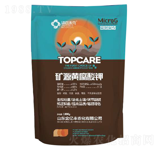 1000g�VԴ�S�����-���|�S