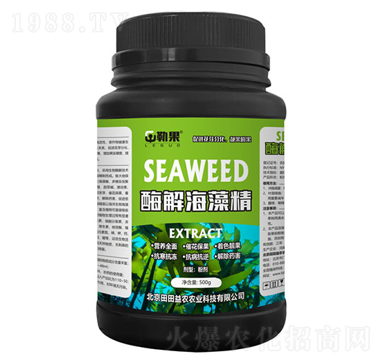 ø�⺣�徫-�չ�-�������r(n��ng)