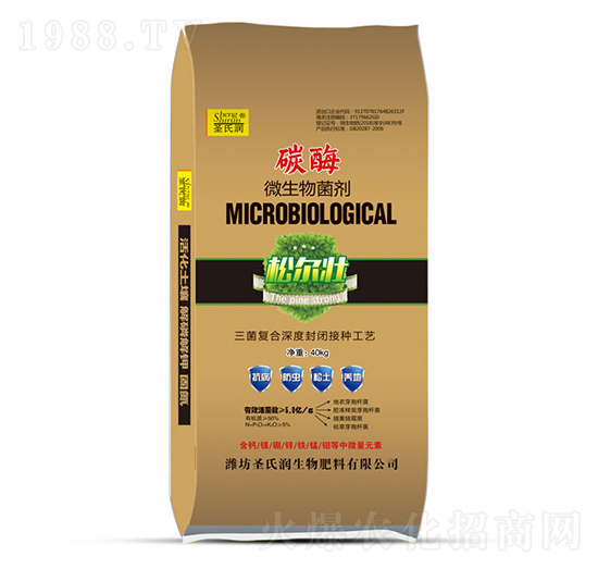 ̼ø΢�������-�ɠ���-ʥ�ϝ�