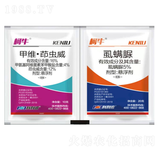 16%�׾S���x��+5%ʭ����-��ţ-�����r