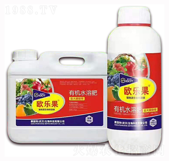 С���������ÚW����-ِ����