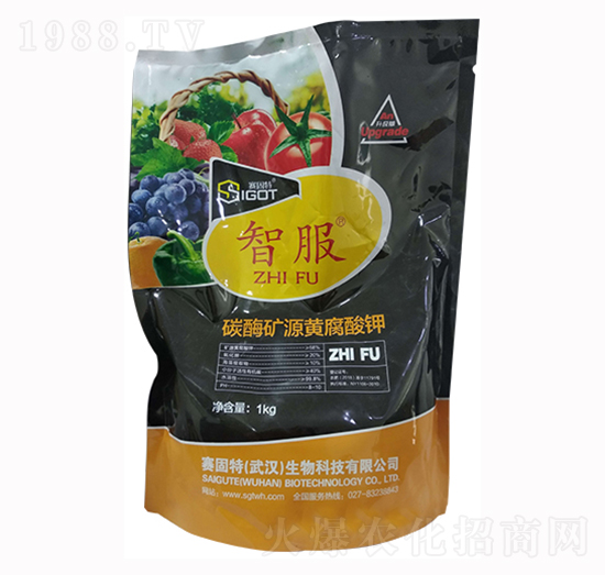 ̼ø�VԴ�S�����-�Ƿ�-ِ����