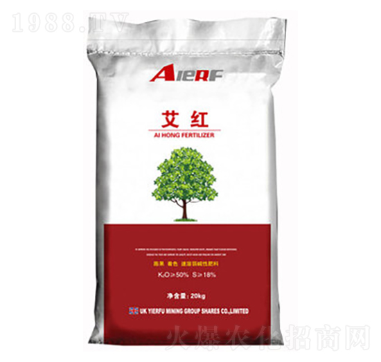 �������A��⛷�-���t-������