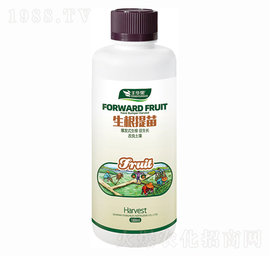 ���������-�S�A��-�S�A�ʘI(y��)