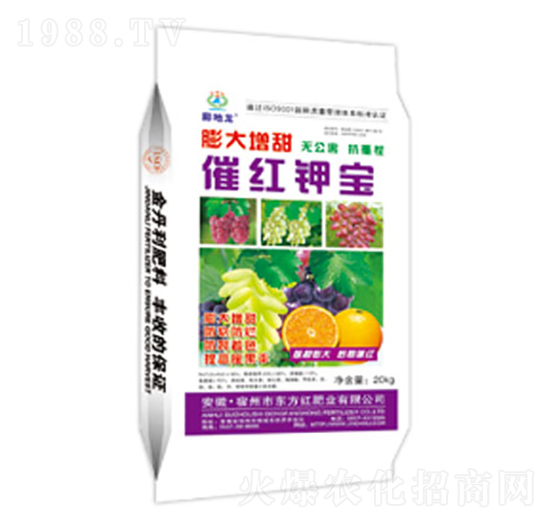 �������߼t⛌�-�����-�|���t