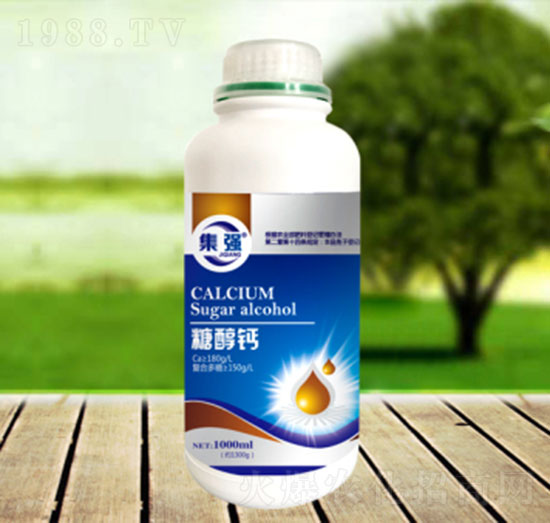 �Ǵ��}-�\�����Q��