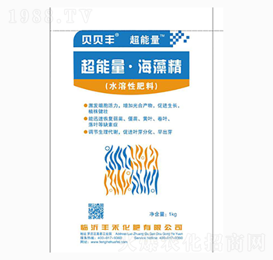 ���������徫-ؐؐ�S-�S��