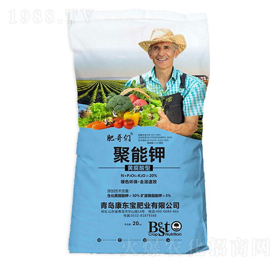 �S�����;����-�ʸ炃-���|��