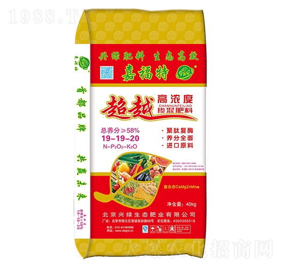 ��Խ�ߝ�ȓ������19-19-20-�θ���