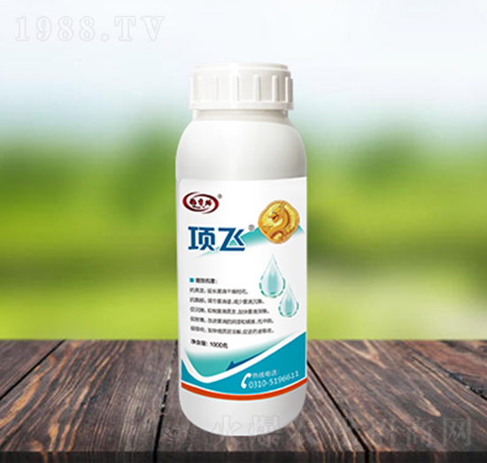 �w��������Ч��-�(xi��ng)�w-������