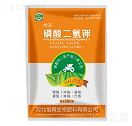 ��ɫ���b��������-��������