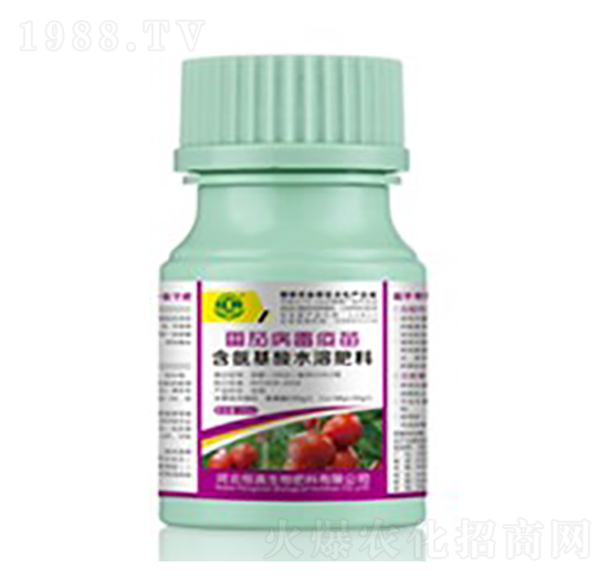 ���Ѳ�������-��������