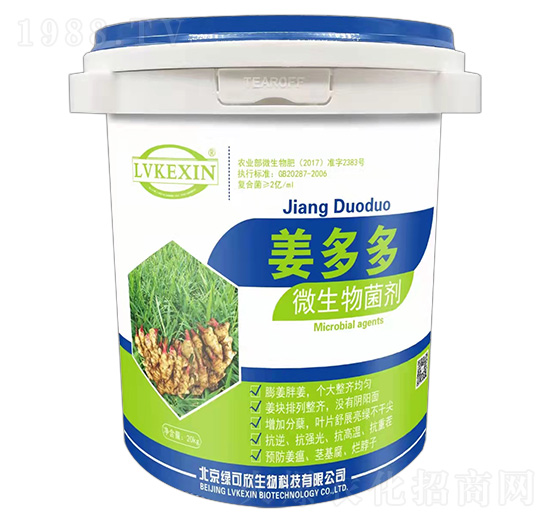 ΢�������-�����-�G����