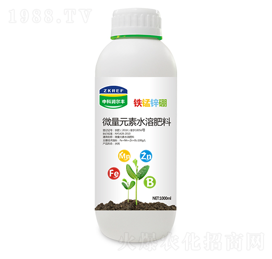 �F�i�\��-�пƝ�(r��n)���S