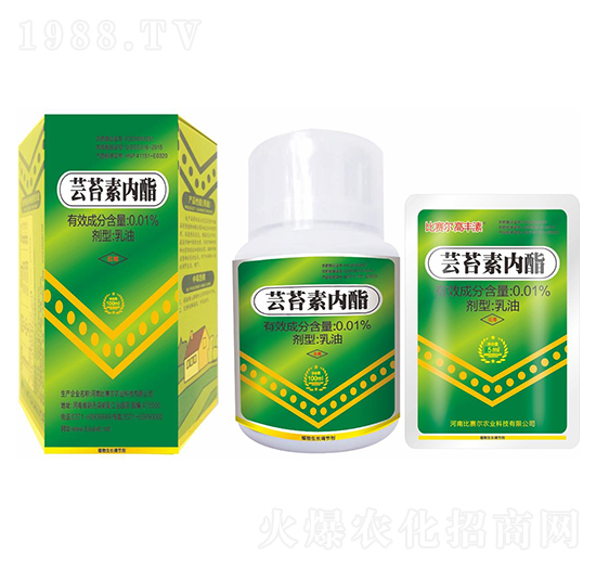 �|̦�؃���-��ِ��