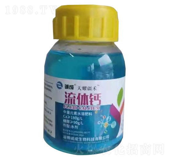 ���w�}-��ҫ����-�\������