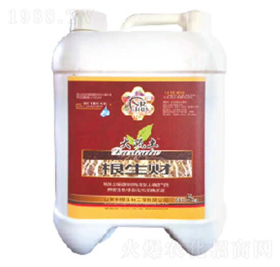 ����ؔ-�и�����