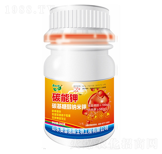 ̼���-�W�׵�˹