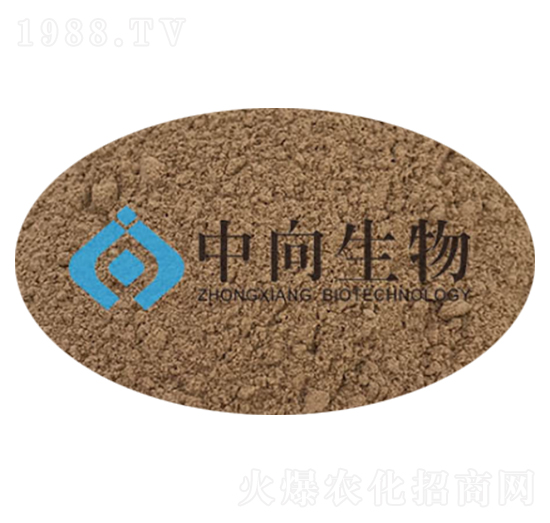 �����{�턩-��������