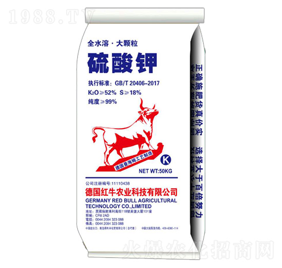 ���w�������-�����S