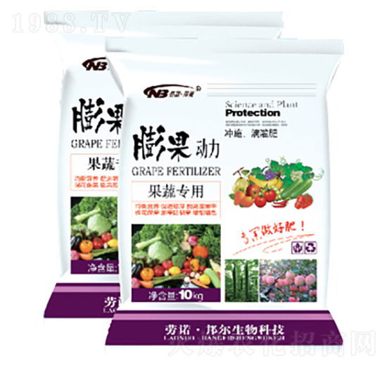 ���ߌ�(zhu��n)��-�����(d��ng)��-������