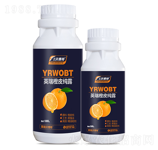 Ӣ���Ƥ��¶-Ӣ���ֲ���