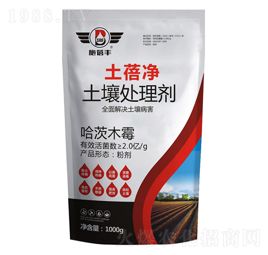 ���������̎�턩-ʩ���S