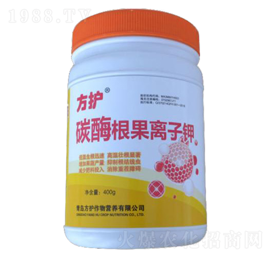 ̼ø�����x���-���o����