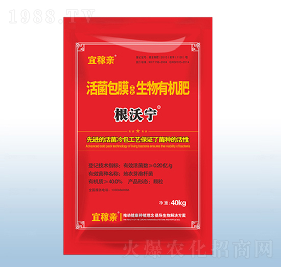 �����Ĥ�������ЙC(j��)��-���֌�-�˼��H-�ڰ�