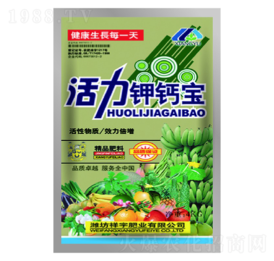 ������}��-����ʘI(y��)