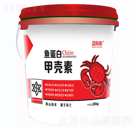 �~���׼ך���-�~���r-�Έ�����