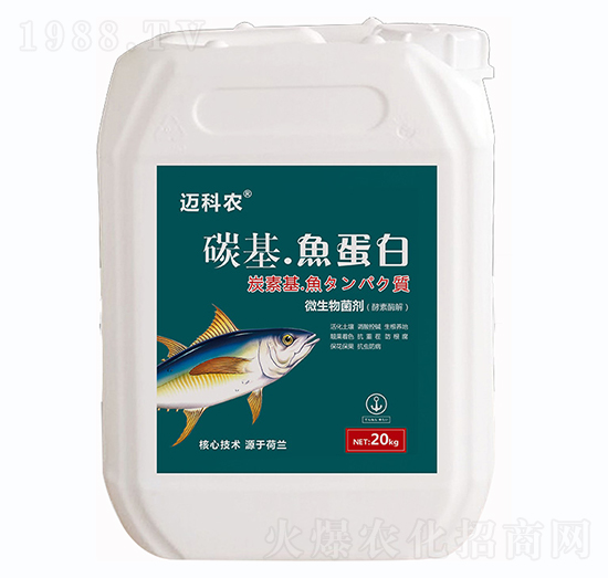 ̼�����~����-�~���r(n��ng)-�Έ�����