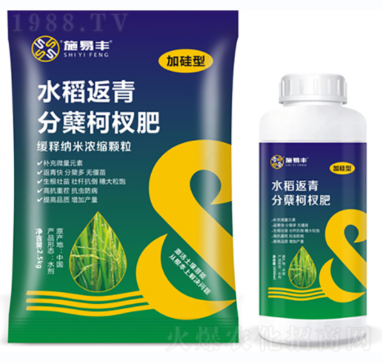 水稻返青分蘗柯杈肥-施易豐