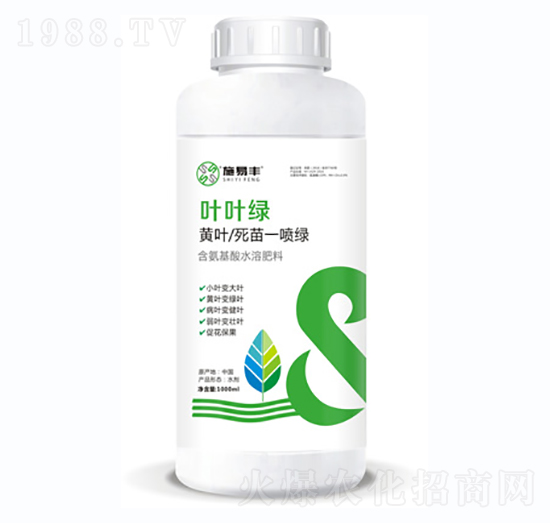 黃葉死苗一噴綠-葉葉綠-施易豐