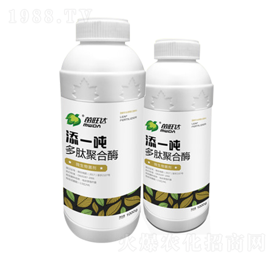 ���ľۺ�ø-��һ��-�����_�r(n��ng)�I(y��)