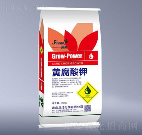 20kg�S�����-����-����