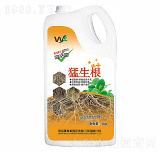 ������-�ֿ��S